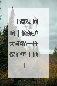 镜观·回响｜像保护大熊猫一样保护黑土地