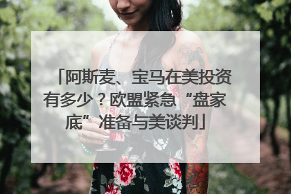 阿斯麦、宝马在美投资有多少？欧盟紧急“盘家底”准备与美谈判