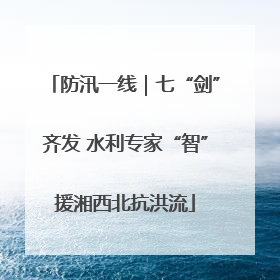 防汛一线｜七“剑”齐发 水利专家“智”援湘西北抗洪流