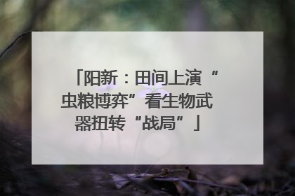 阳新：田间上演“虫粮博弈”看生物武器扭转“战局”