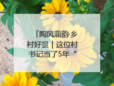 陶风淄韵·乡村好景｜这位村书记当了5年“首席证婚人”