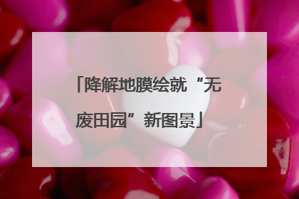 降解地膜绘就“无废田园”新图景