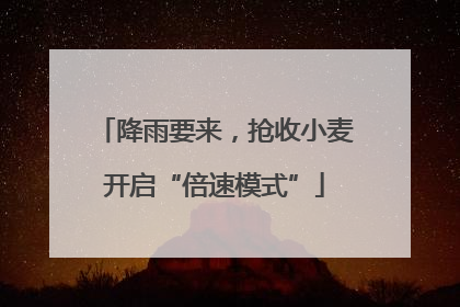 降雨要来，抢收小麦开启“倍速模式”