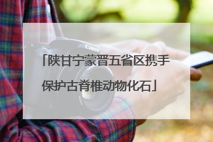 陕甘宁蒙晋五省区携手保护古脊椎动物化石