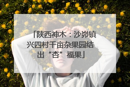 陕西神木：沙峁镇兴四村千亩杂果园结出“杏”福果