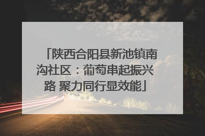 陕西合阳县新池镇南沟社区：葡萄串起振兴路 聚力同行显效能