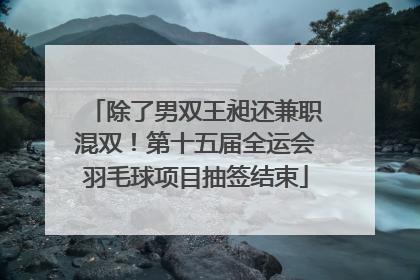 除了男双王昶还兼职混双！第十五届全运会羽毛球项目抽签结束