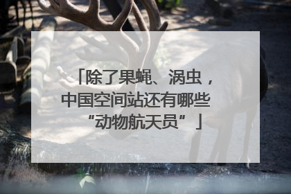 除了果蝇、涡虫，中国空间站还有哪些“动物航天员”