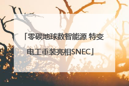 零碳地球数智能源 特变电工重装亮相SNEC