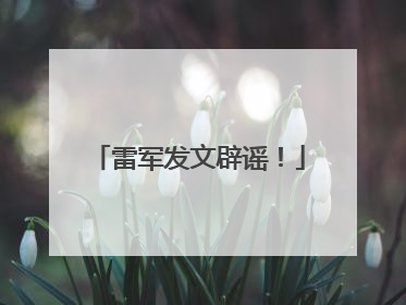 雷军发文辟谣！