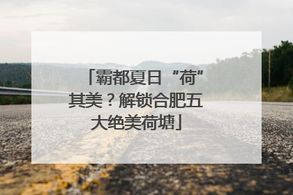霸都夏日“荷”其美？解锁合肥五大绝美荷塘