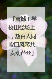 震撼！学校田径场上，数百人同吹口风琴共奏葫芦丝