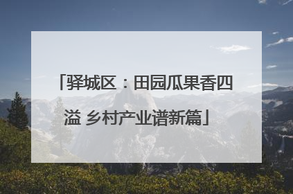 驿城区：田园瓜果香四溢 乡村产业谱新篇