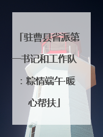 驻曹县省派第一书记和工作队：粽情端午·暖心帮扶