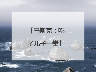 马斯克：吃了儿子一拳