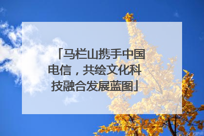 马栏山携手中国电信，共绘文化科技融合发展蓝图
