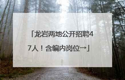 龙岩两地公开招聘47人！含编内岗位→