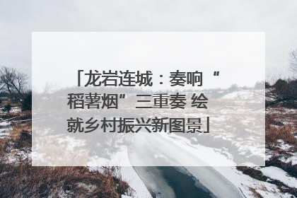 龙岩连城：奏响“稻薯烟”三重奏 绘就乡村振兴新图景