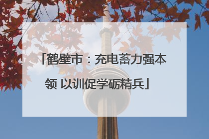 鹤壁市：充电蓄力强本领 以训促学砺精兵