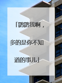 鹮鹮我啊，多的是你不知道的事儿