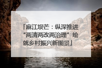 麻江坝芒：纵深推进“两清两改两治理”绘就乡村振兴新图景