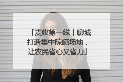 麦收第一线丨聊城打造集中晾晒场地，让农民省心又省力