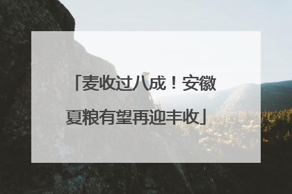 麦收过八成！安徽夏粮有望再迎丰收