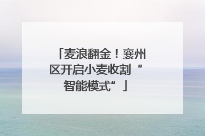 麦浪翻金！襄州区开启小麦收割“智能模式”