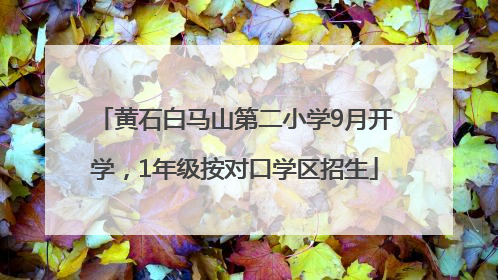 黄石白马山第二小学9月开学，1年级按对口学区招生
