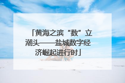 黄海之滨“数”立潮头——盐城数字经济崛起进行时
