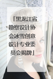 黑龙江省勘察设计协会冰雪创意设计专业委员会揭牌