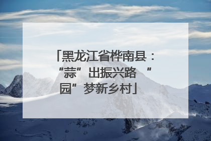 黑龙江省桦南县：“蒜”出振兴路 “园”梦新乡村