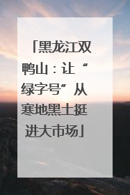 黑龙江双鸭山：让“绿字号”从寒地黑土挺进大市场