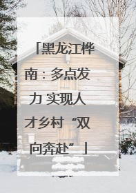 黑龙江桦南：多点发力 实现人才乡村“双向奔赴”