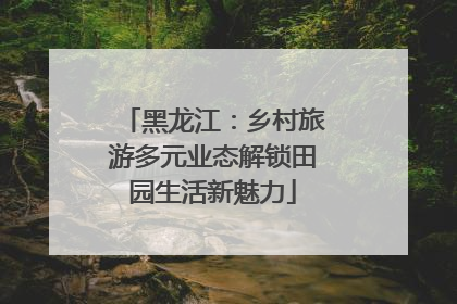 黑龙江：乡村旅游多元业态解锁田园生活新魅力