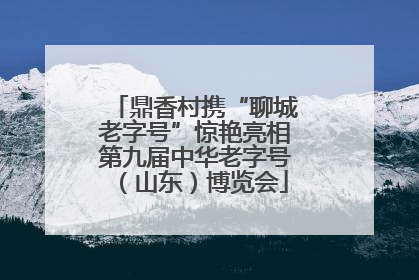 鼎香村携“聊城老字号”惊艳亮相第九届中华老字号（山东）博览会