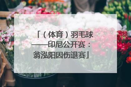 （体育）羽毛球——印尼公开赛：翁泓阳因伤退赛