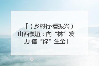 （乡村行·看振兴）山西襄垣：向“林”发力 借“绿”生金
