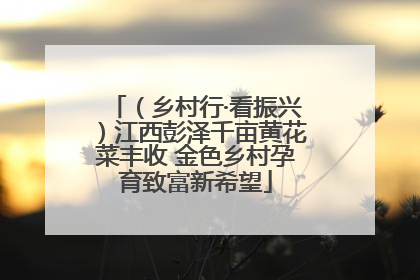 （乡村行·看振兴）江西彭泽千亩黄花菜丰收 金色乡村孕育致富新希望