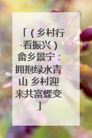 （乡村行·看振兴）畲乡景宁：拥抱绿水青山 乡村迎来共富蝶变
