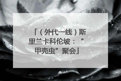（外代一线）斯里兰卡科伦坡：“甲壳虫”聚会