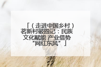 （走进中国乡村）茗新村破圈记：民族文化赋能 产业借势 “网红东风”
