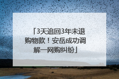3天追回3年未退购物款！安岳成功调解一网购纠纷