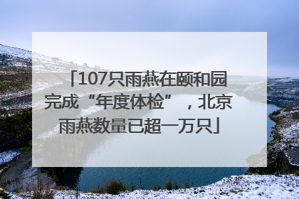 107只雨燕在颐和园完成“年度体检”，北京雨燕数量已超一万只