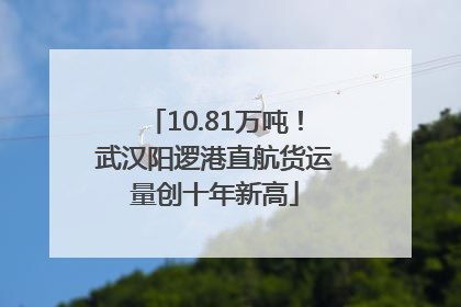 10.81万吨！武汉阳逻港直航货运量创十年新高