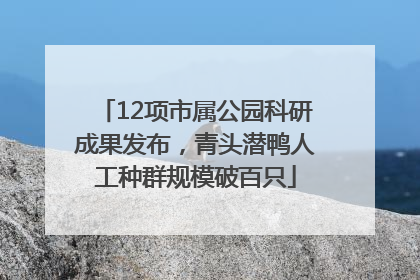 12项市属公园科研成果发布，青头潜鸭人工种群规模破百只