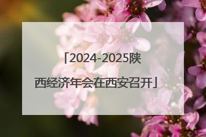 2024-2025陕西经济年会在西安召开