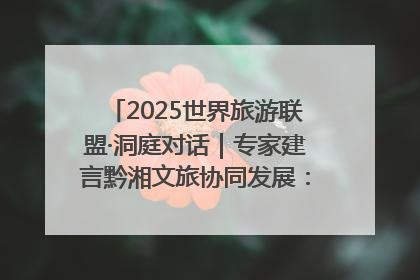 2025世界旅游联盟·洞庭对话｜专家建言黔湘文旅协同发展：聚焦产品稀缺性 深化区域经验共享