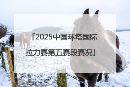 2025中国环塔国际拉力赛第五赛段赛况