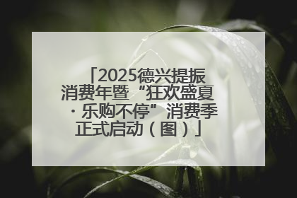 2025德兴提振消费年暨“狂欢盛夏・乐购不停”消费季正式启动（图）
